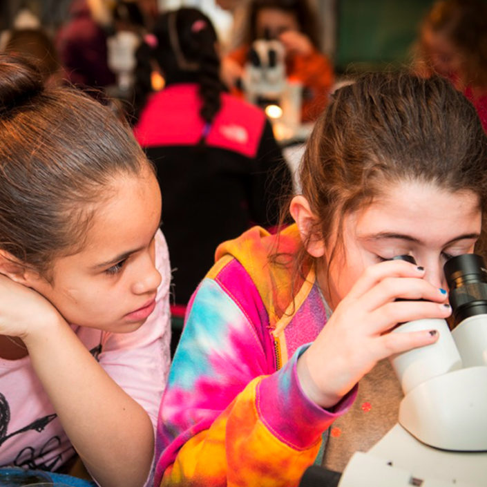 800×800-square_0003s_0002_science-stars-microscope