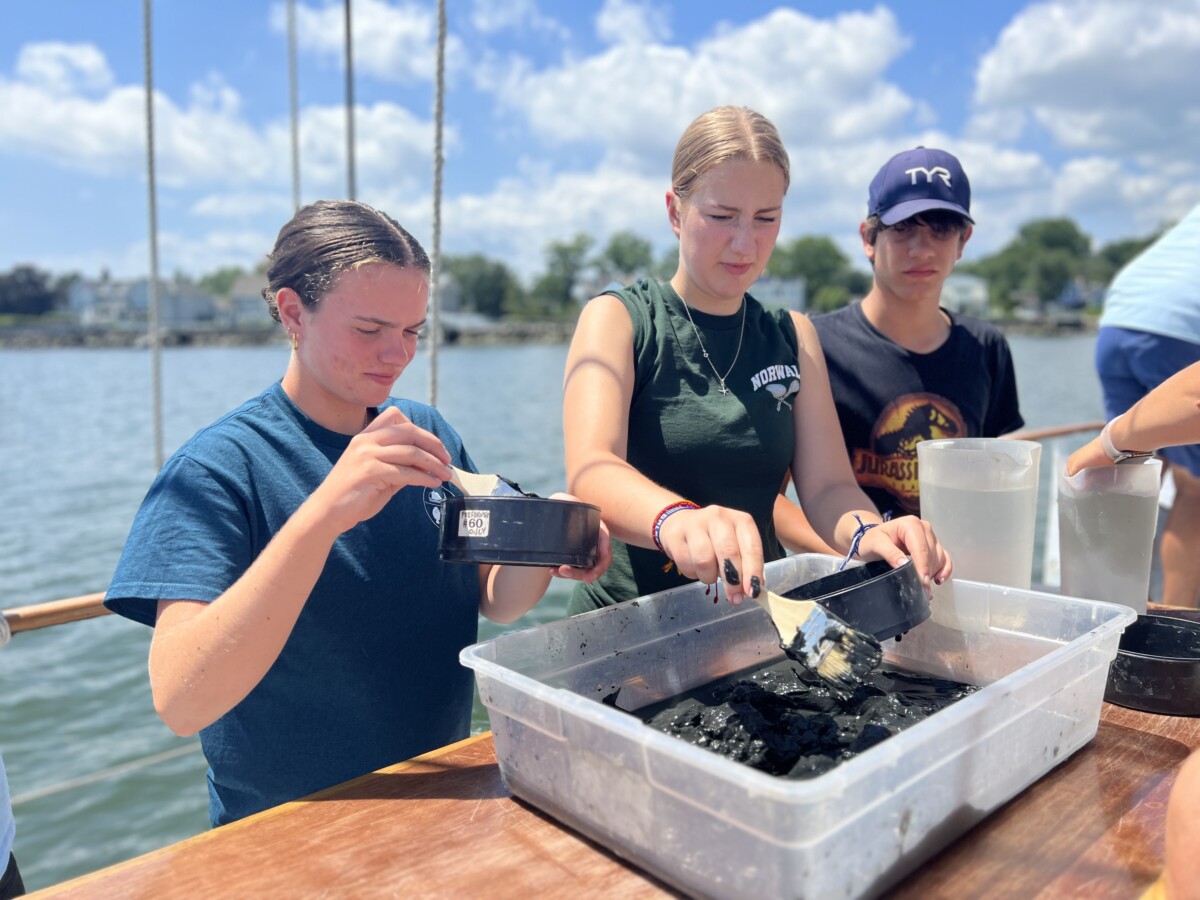 Soundwaters Research Intensive Marine Science Program For High School