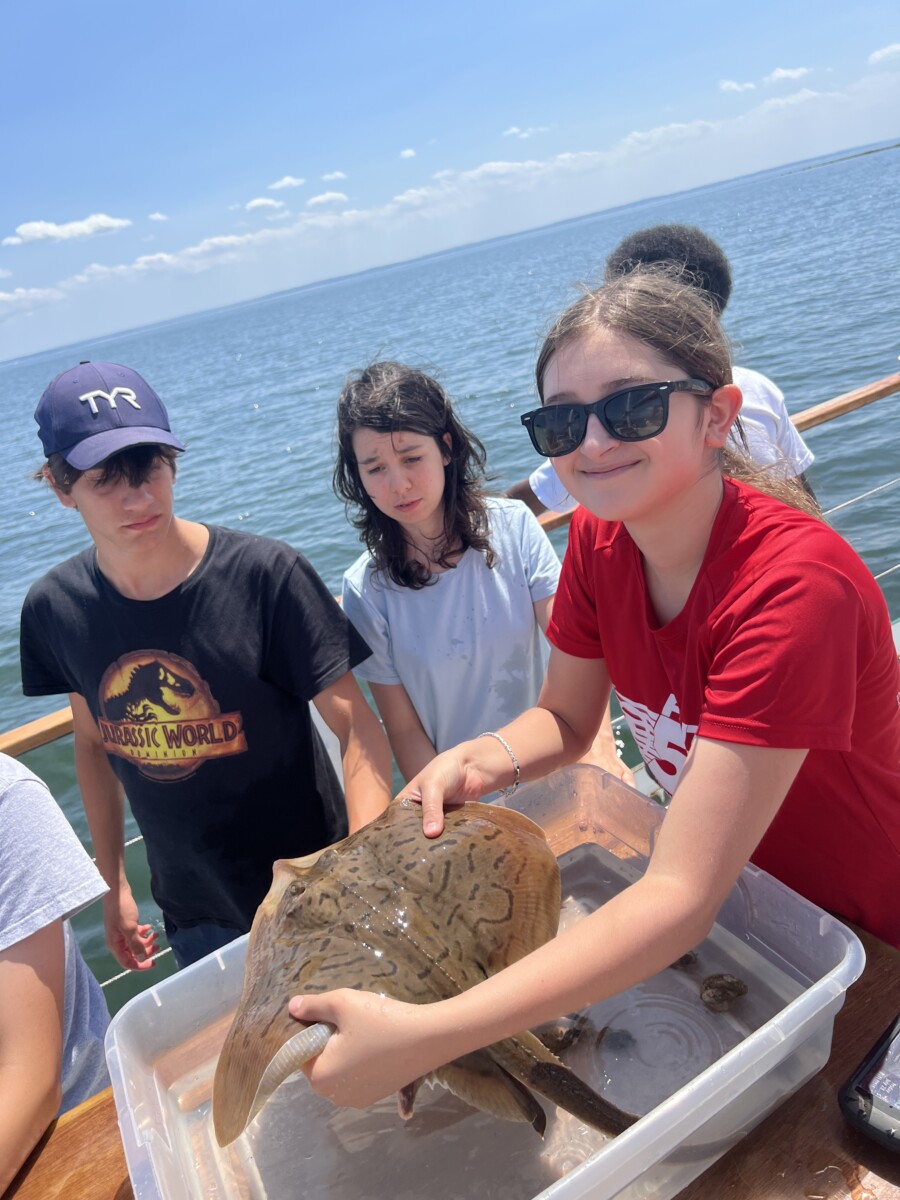 Soundwaters Research Intensive Marine Science Program For High School