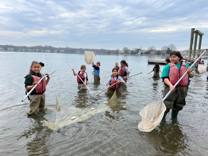 Thursday – seining (10)